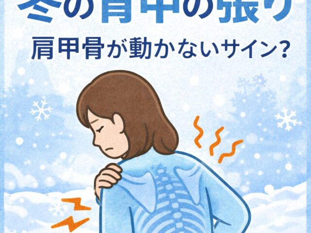 【冬になると背中が張る…肩甲骨まわりの硬さが原因かもしれません】